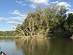 IMG_0137(2)