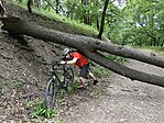 IMG_0183(2)