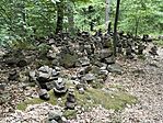IMG_0188(2)