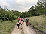 IMG_0237(2)