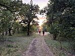 IMG_0238(2)
