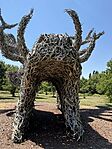 IMG_0430(2)