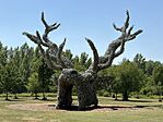 IMG_0429(2)