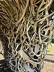 IMG_0431(1)