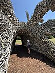 IMG_0432(2)