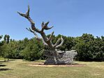 IMG_0434(2)