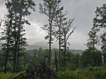 log-image-1781382034502-0