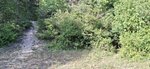 log-image-1781045377494-0