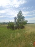 log-image-1780760798398-1