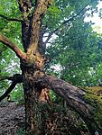 IMG_20260606_191739