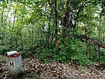 IMG_20260606_191516