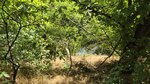 log-image-1780836161026-0