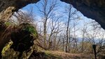 log-image-1781458861358-2