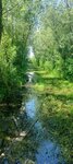 log-image-1781891654938-0