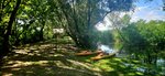 log-image-1781894114235-0