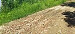 IMG_20260607_122046.jpg