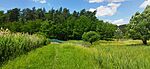 IMG_20260607_121601.jpg
