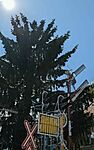 PXL_20260607_134809280~3