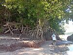 IMG_20260623_094448