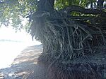 IMG_20260623_094523