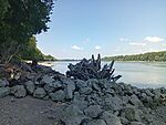 IMG_20260623_100459