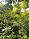 log-image-1780845316017-0