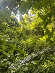 log-image-1780845316022-1