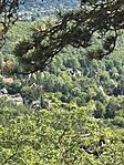 IMG_4605