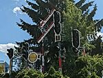 PXL_20260607_134228307~2