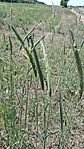 20260524_142226-OK