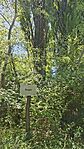 20260524_142937-OK