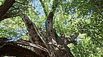 20260524_143116-OK
