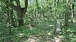 20260524_150556-OK