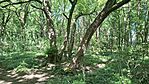 20260524_150851-OK