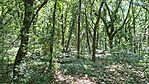 20260524_150855-OK