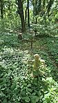 20260524_151349-OK