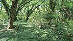 20260524_151353-OK