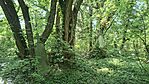 20260524_151458-OK