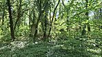 20260524_151505-OK