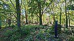 20260526_171812-OK
