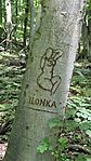20260606_144148-OK