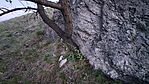20260501_201221-OK
