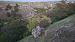 20260501_201433-OK