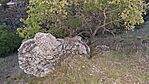 20260501_202035-OK
