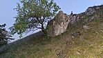 20260501_202446-OK