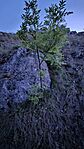 20260501_202517-OK