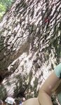 log-image-1781787806639-0