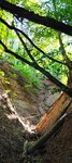 log-image-1780766747208-0