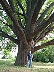 IMG_20260605_132242.jpg
