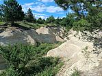 IMG_20260606_162931.jpg